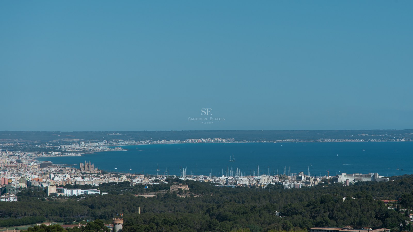 Elevated wide-angle view of Palma de Mallorca's coastline, featuring the Gothic cathedral and a yacht-filled marina.