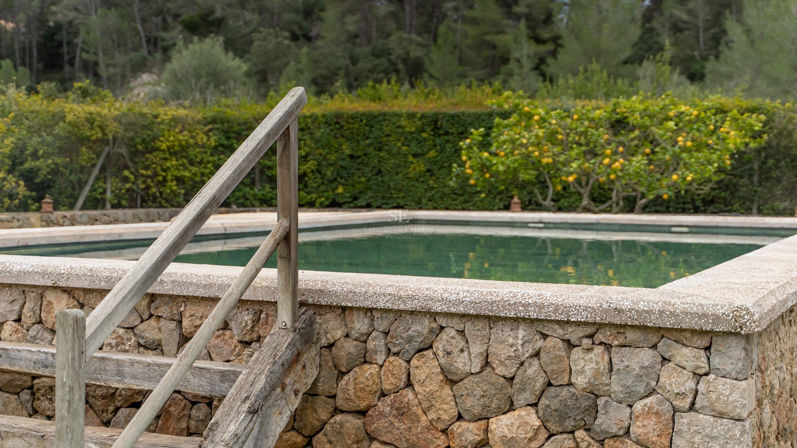 Piscine surélevée avec murs en pierre naturelle et échelle en bois, entourée d'un jardin et d'un citronnier.