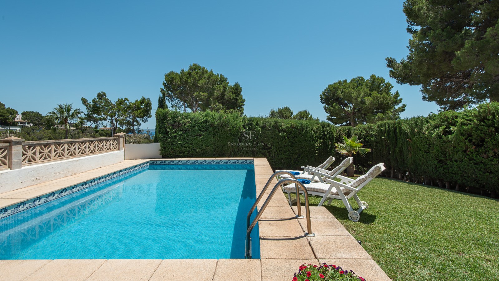 Une piscine rectangulaire aux eaux cristallines entourée d'une pelouse verte, de chaises longues et de hautes haies.