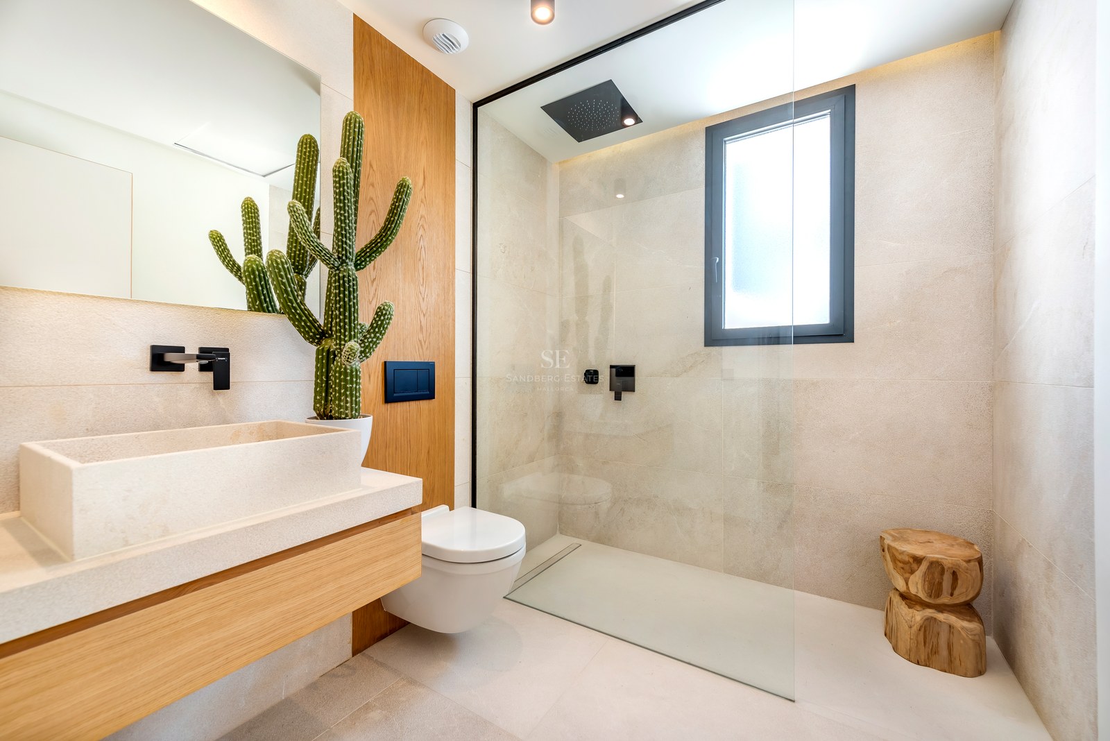 Baño contemporáneo con ducha de cristal, lavabo de piedra, mueble de madera y un gran cactus decorativo.