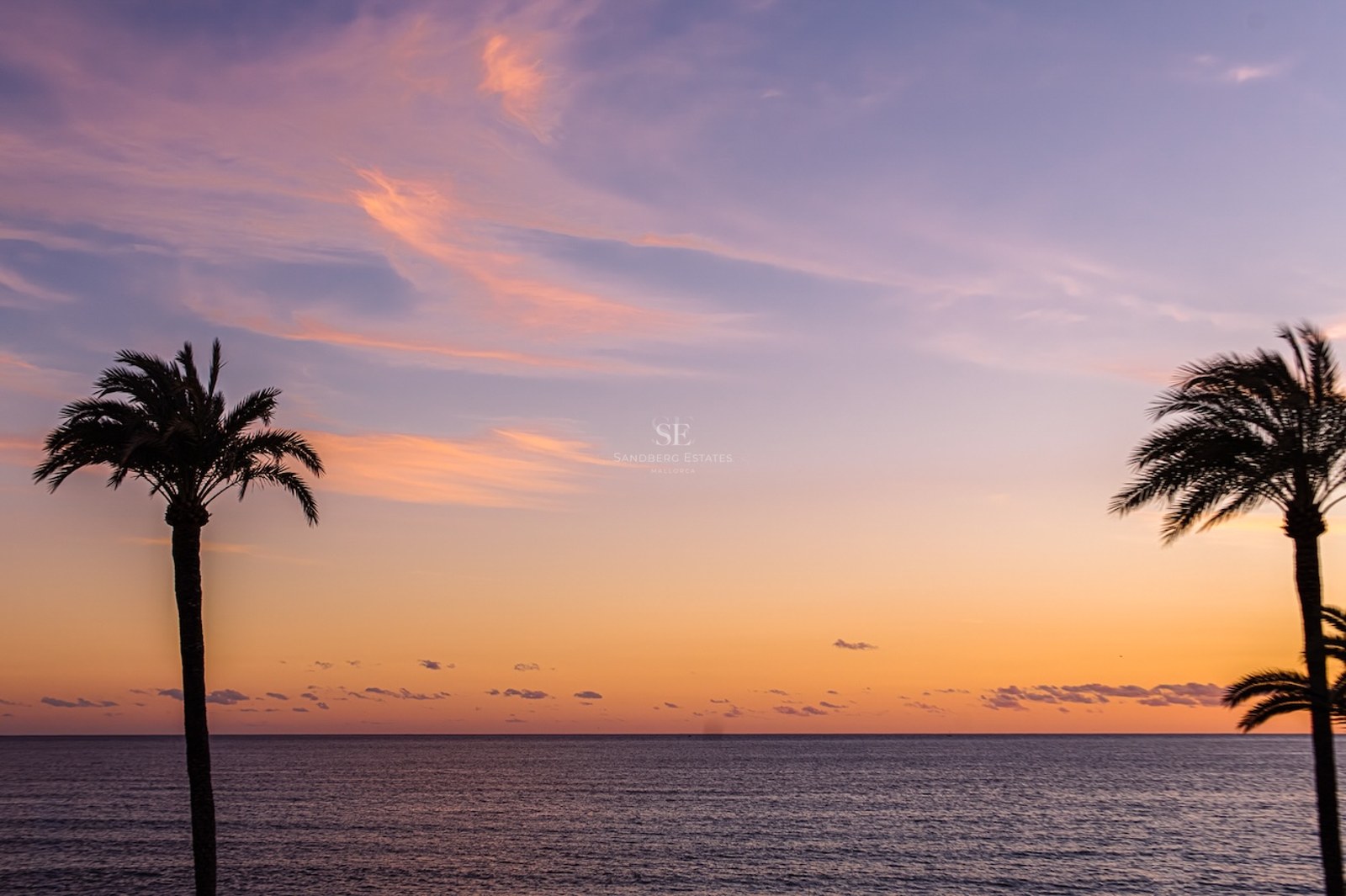 Sunset over the Mediterranean Sea with silhouetted palm trees against an orange and purple sky.