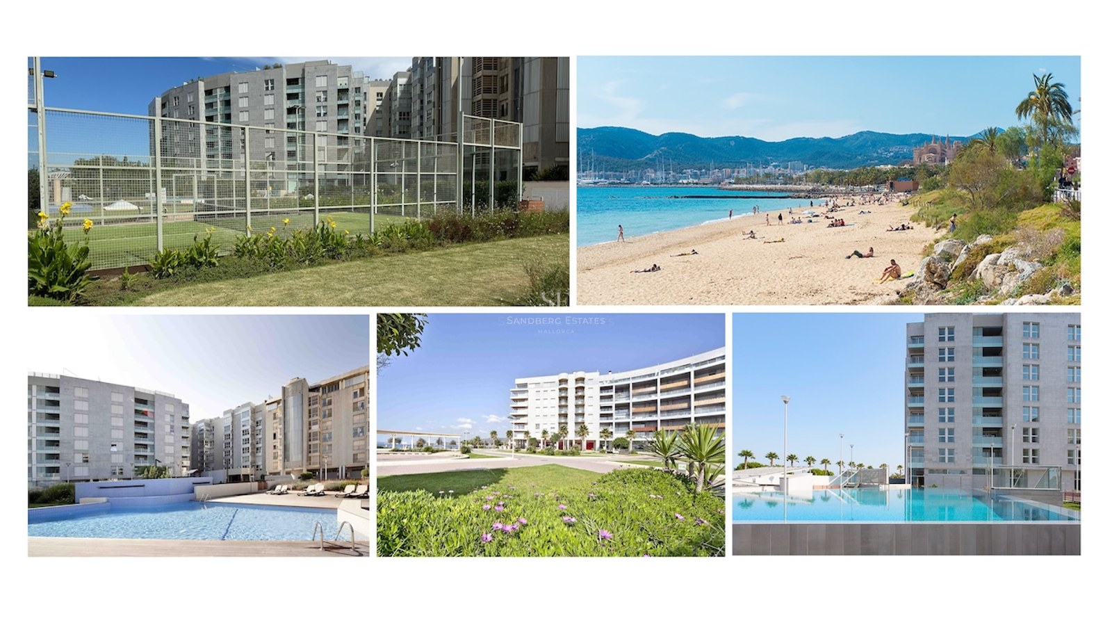 Collage of luxury apartment amenities: outdoor pool, padel court, landscaped gardens, and nearby beach with cathedral views.