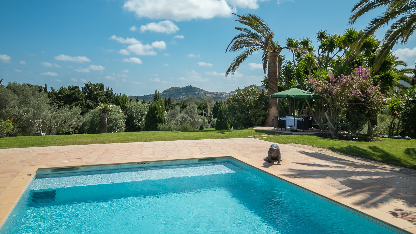 Piscine rectangulaire avec terrasse en terre cuite entourée d'une pelouse, de palmiers et de vues sur les collines.