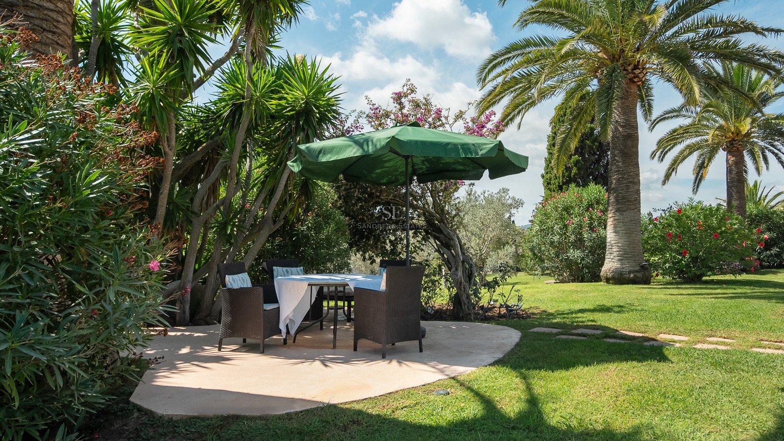 Table à manger ombragée avec chaises en osier sur un patio en pierre, entourée de palmiers et de pelouse verte.