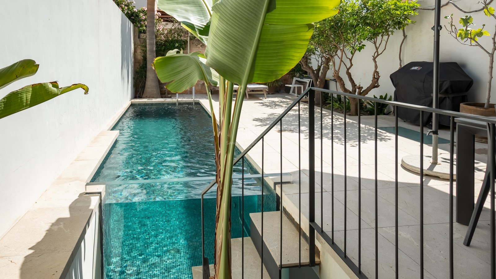 Piscine étroite turquoise avec une paroi en verre transparente à côté d'une terrasse en pierre et de plantes tropicales.