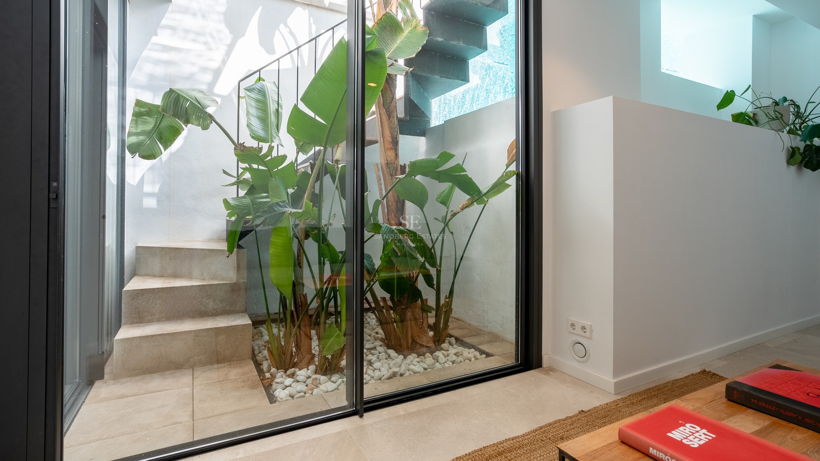 Vue à travers une porte vitrée d'un patio intérieur avec des escaliers en béton et des plantes tropicales.