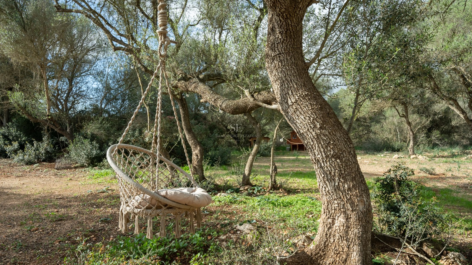 Fauteuil suspendu en macramé crème sous un olivier centenaire dans un jardin méditerranéen ensoleillé.