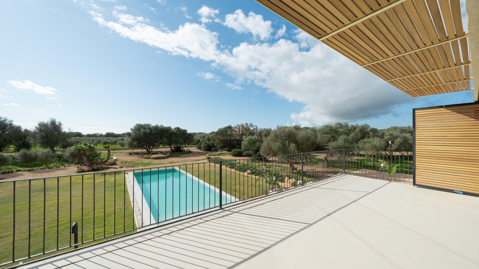 Vue surélevée depuis une terrasse blanche sur une piscine rectangulaire entourée de pelouse et d'oliviers.