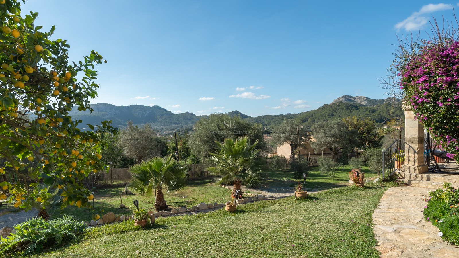 Jardin verdoyant avec palmiers et pots en terre cuite offrant une vue sur les montagnes sous un ciel clair.