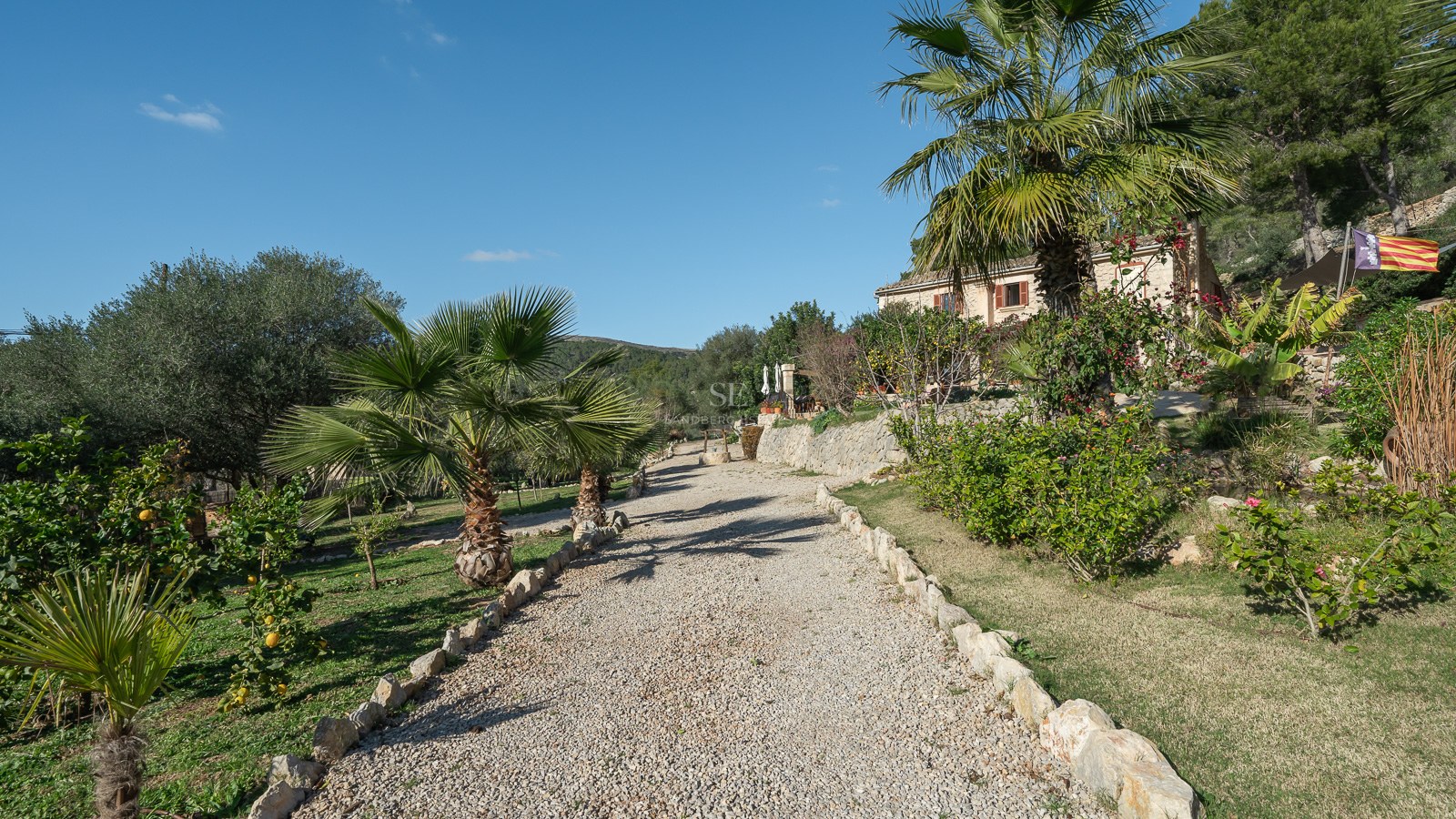 Une longue allée de gravier bordée de pierres naturelles et de palmiers menant à une villa méditerranéenne.