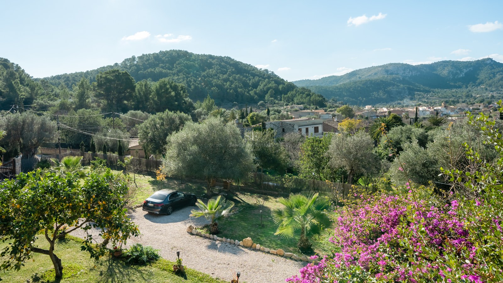Allée en gravier bordée de pierres, entourée d'oliviers et de fleurs roses, surplombant un paysage de montagnes vertes.