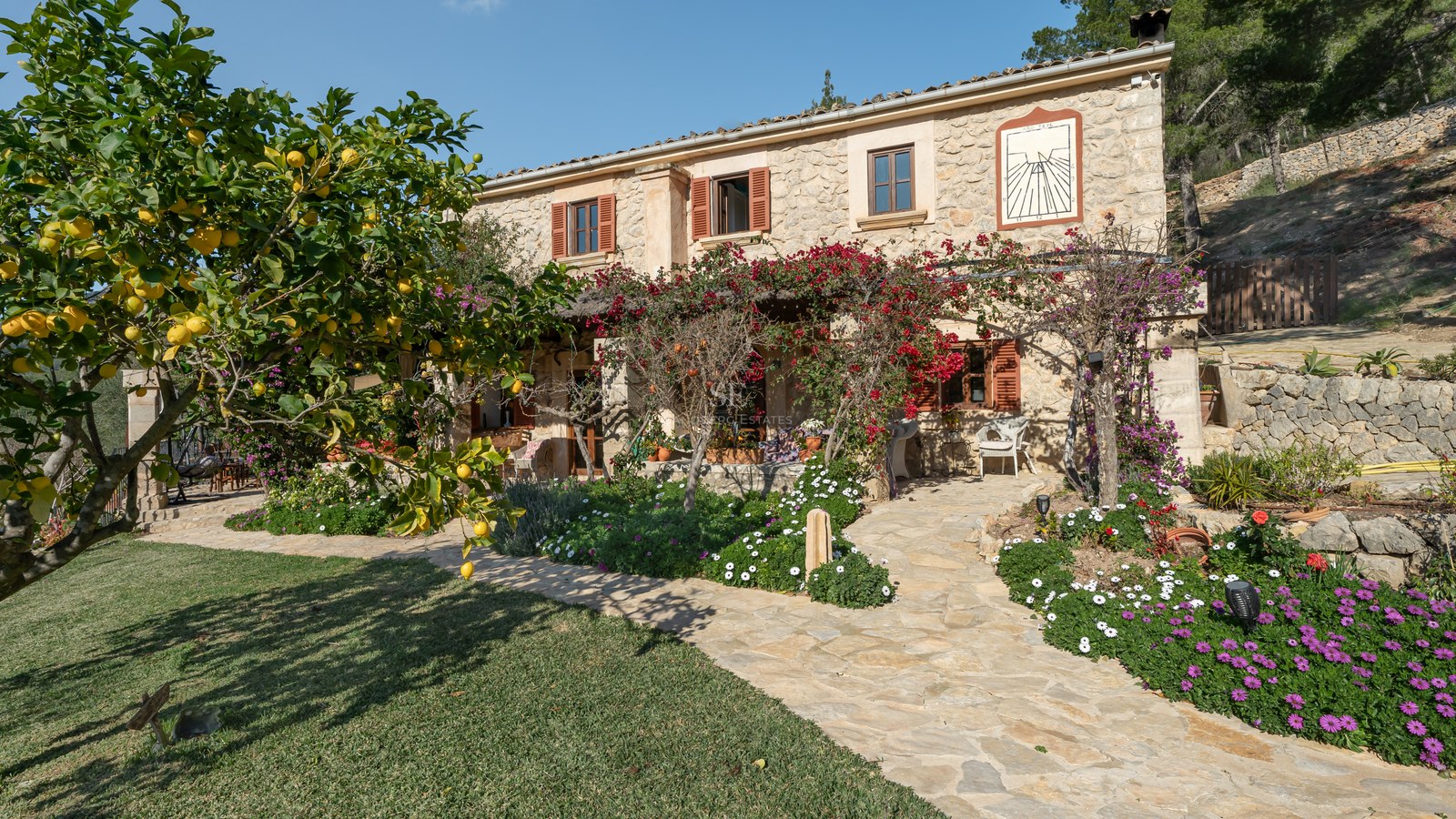 Extérieur d'une villa en pierre avec bougainvilliers, citronnier et chemin pavé sous une lumière naturelle vive.