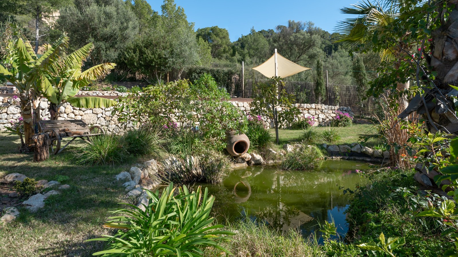 Un étang de jardin naturel entouré de verdure, une jarre en terre cuite et un mur traditionnel en pierre sèche.