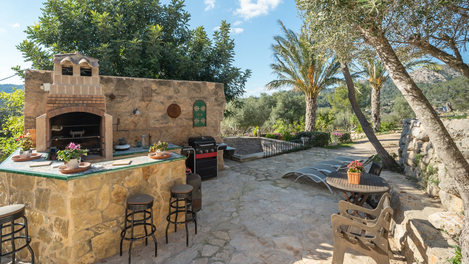 Terrasse en pierre avec bar extérieur, barbecue et chaises longues entourée d'oliviers et de palmiers.