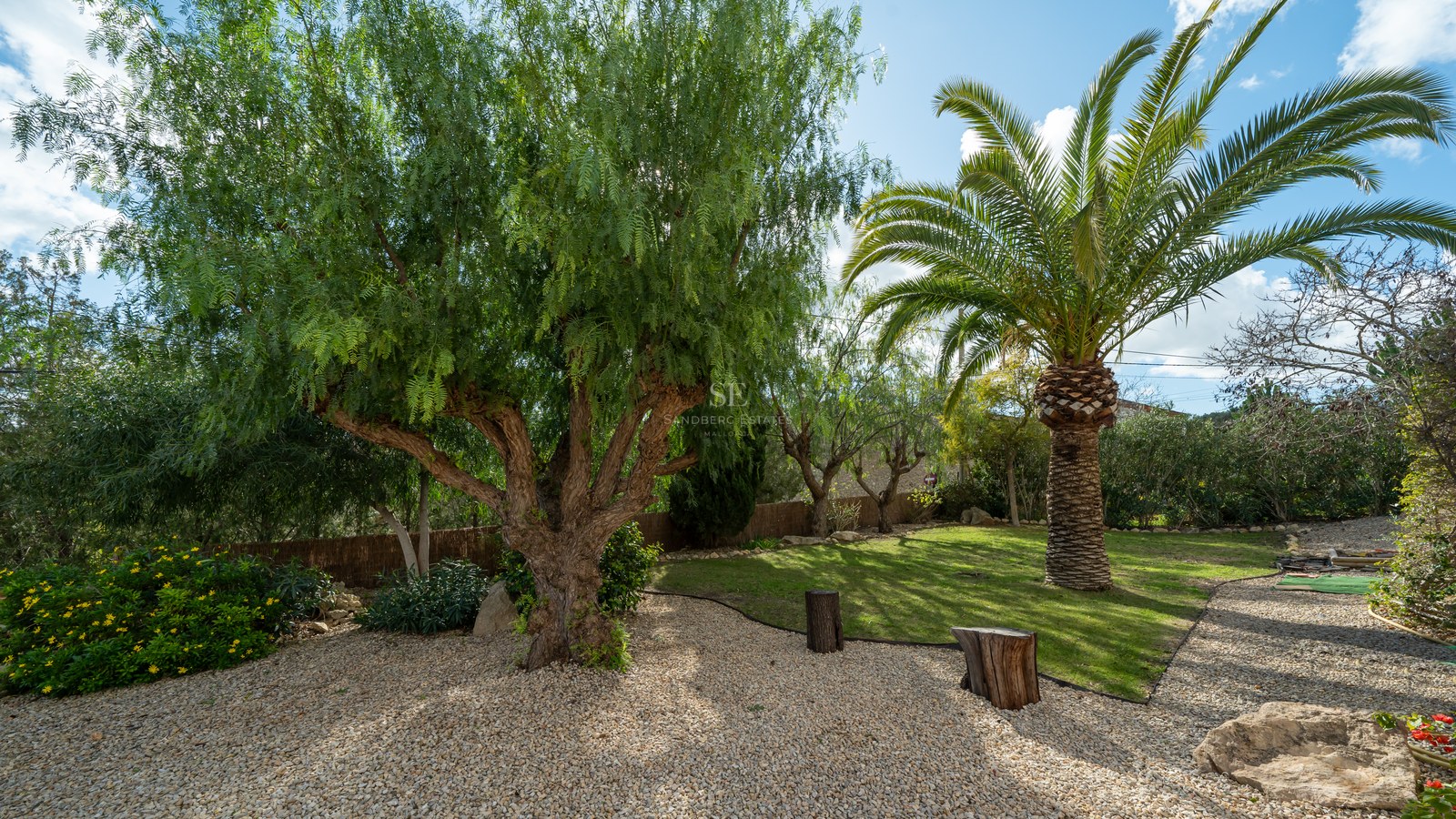 Jardín con pimentero grande, palmera, camino de grava y césped bajo un cielo azul despejado.