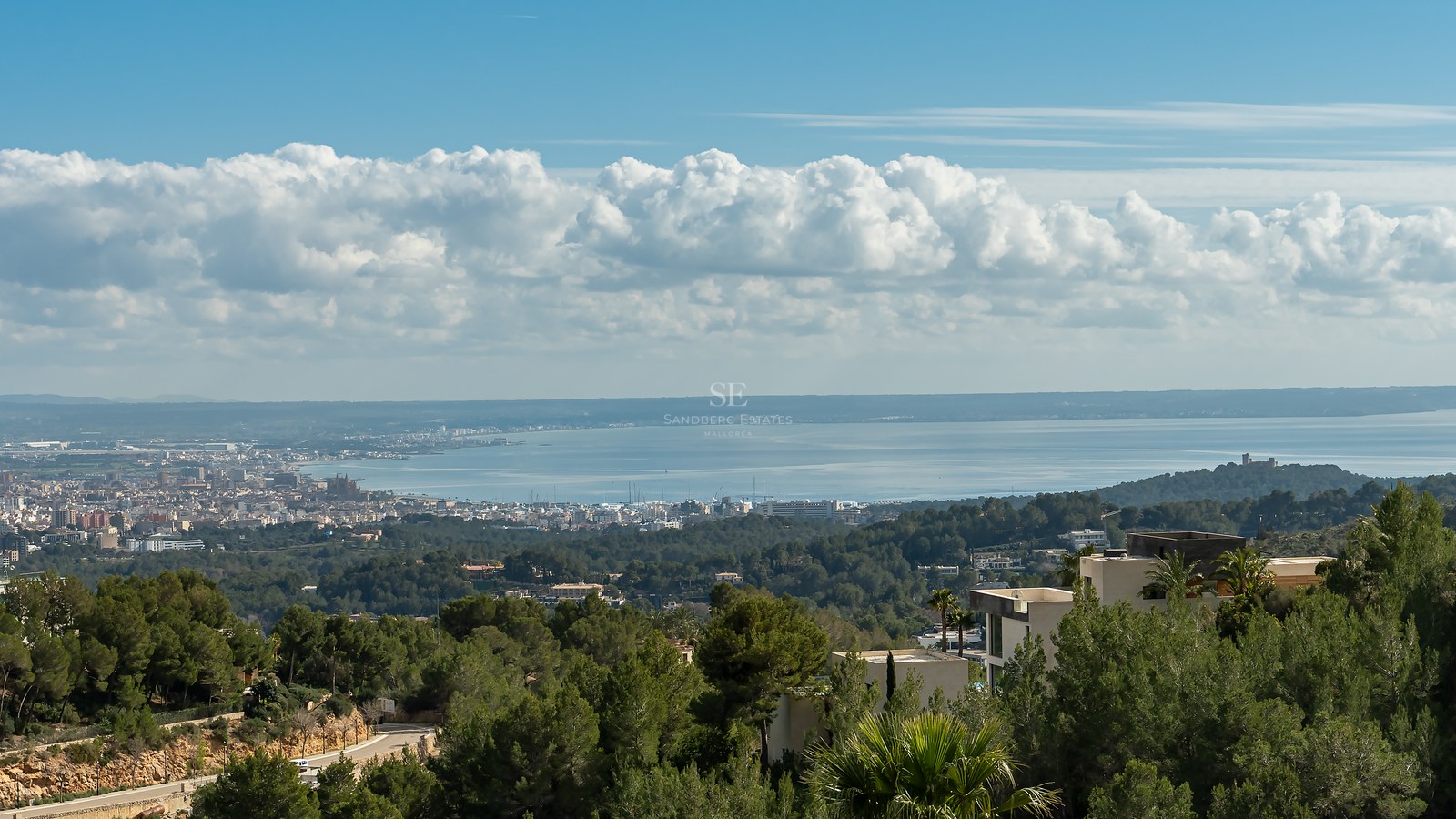 Vista panorámica de la bahía de Palma y la costa mediterránea desde una colina elevada con pinos y cielo despejado.