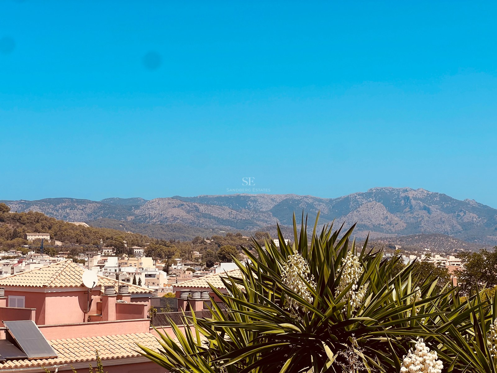 View over terracotta rooftops towards a mountain range under a clear blue sky with a green plant in the foreground.