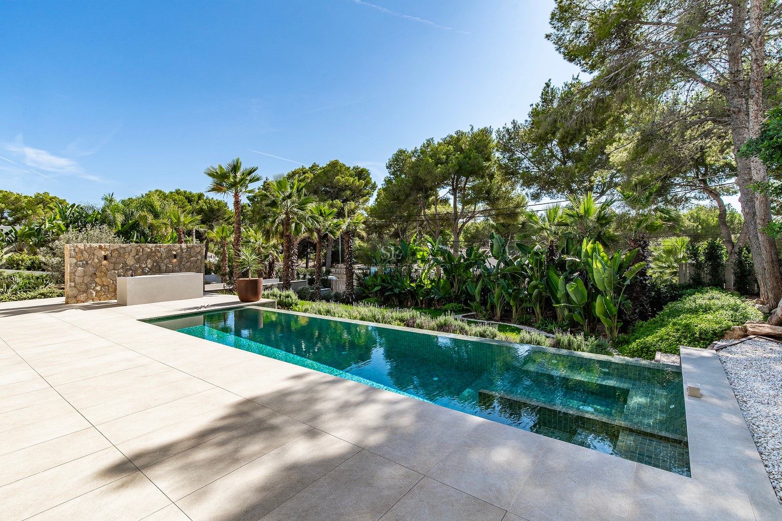 Rectangular turquoise swimming pool surrounded by beige stone terrace and dense green palm trees under a blue sky.