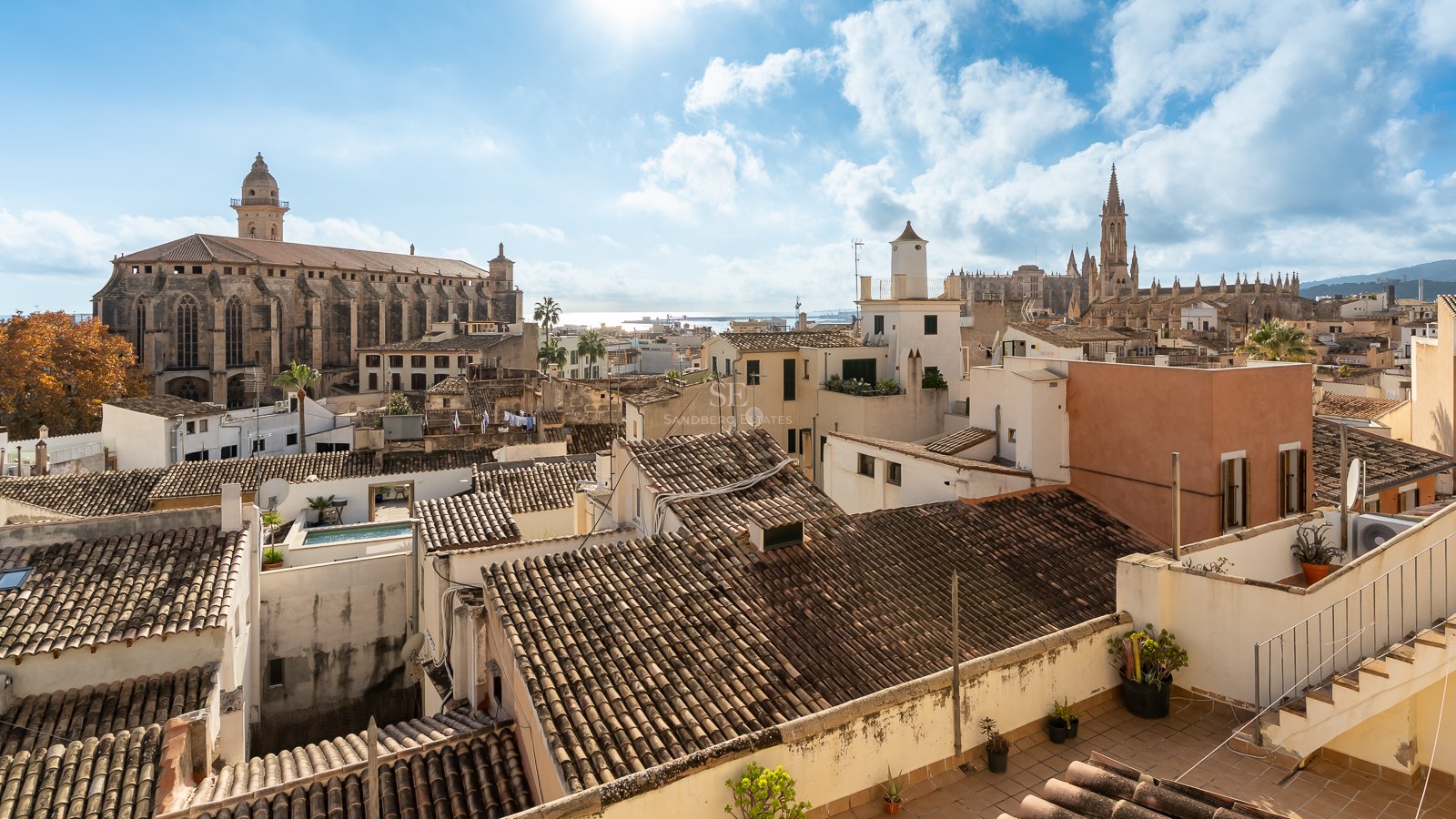 Vista desde azotea del centro histórico de Palma con la Catedral y la iglesia de San Francisco bajo un cielo despejado.