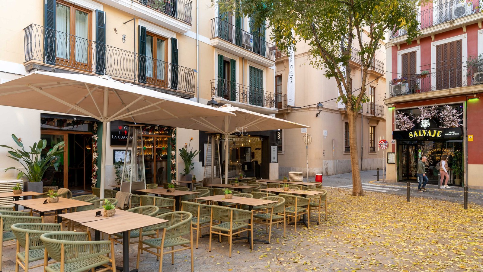 Terraza de restaurante con sillas verde salvia bajo sombrillas en una calle histórica mediterránea con hojas de otoño.