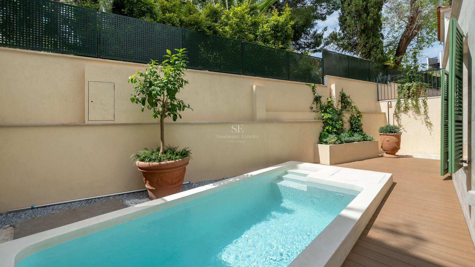 Piscina rectangular con escalones integrados, paredes color crema, maceta de terracota y vegetación exuberante.
