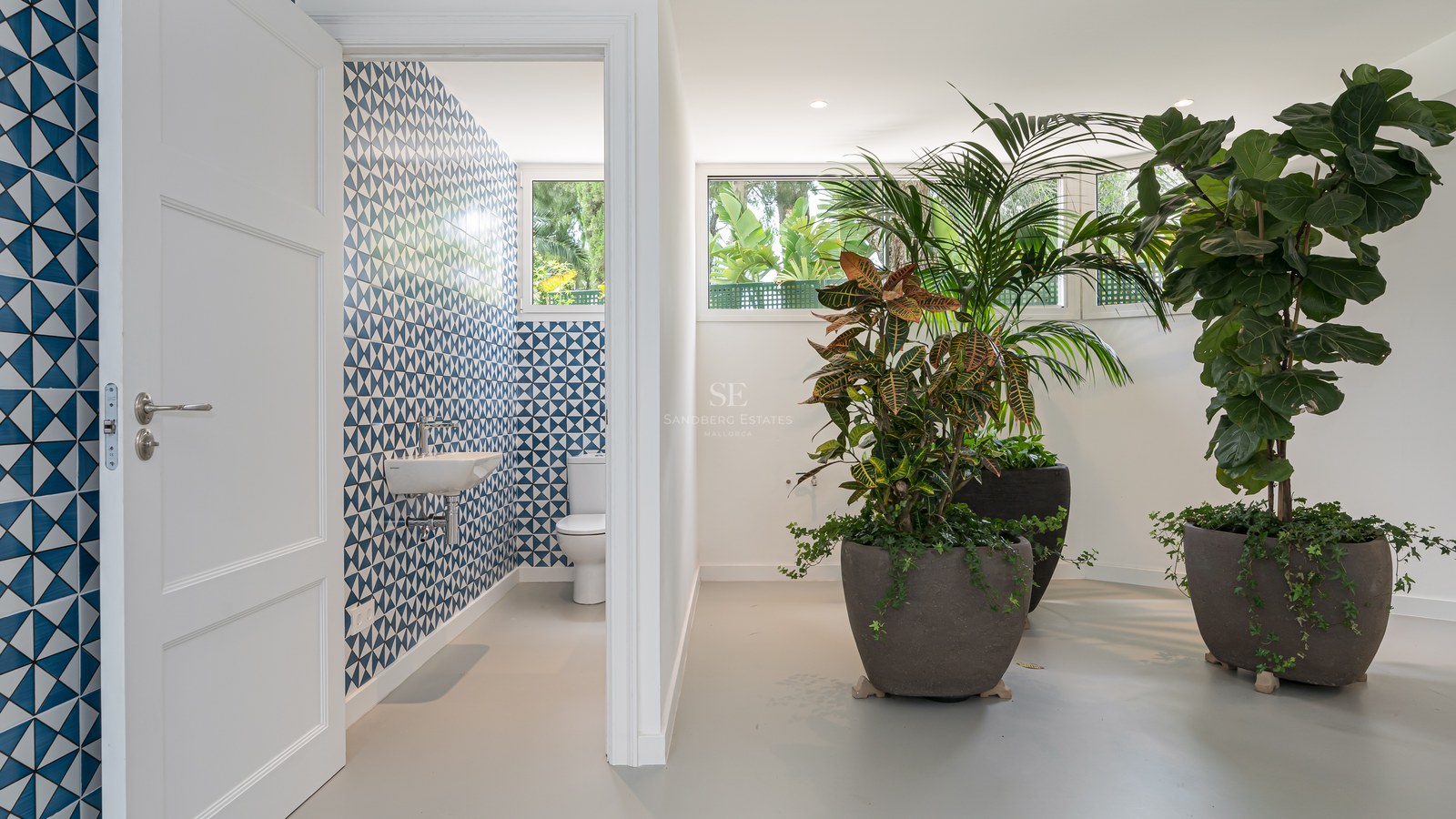 Aseo de invitados con azulejos geométricos azules y blancos junto a un pasillo con grandes plantas de interior.