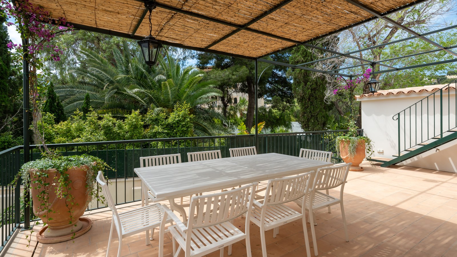 Mesa de comedor exterior blanca y sillas bajo una pérgola de cañizo con vistas a un jardín de palmeras.