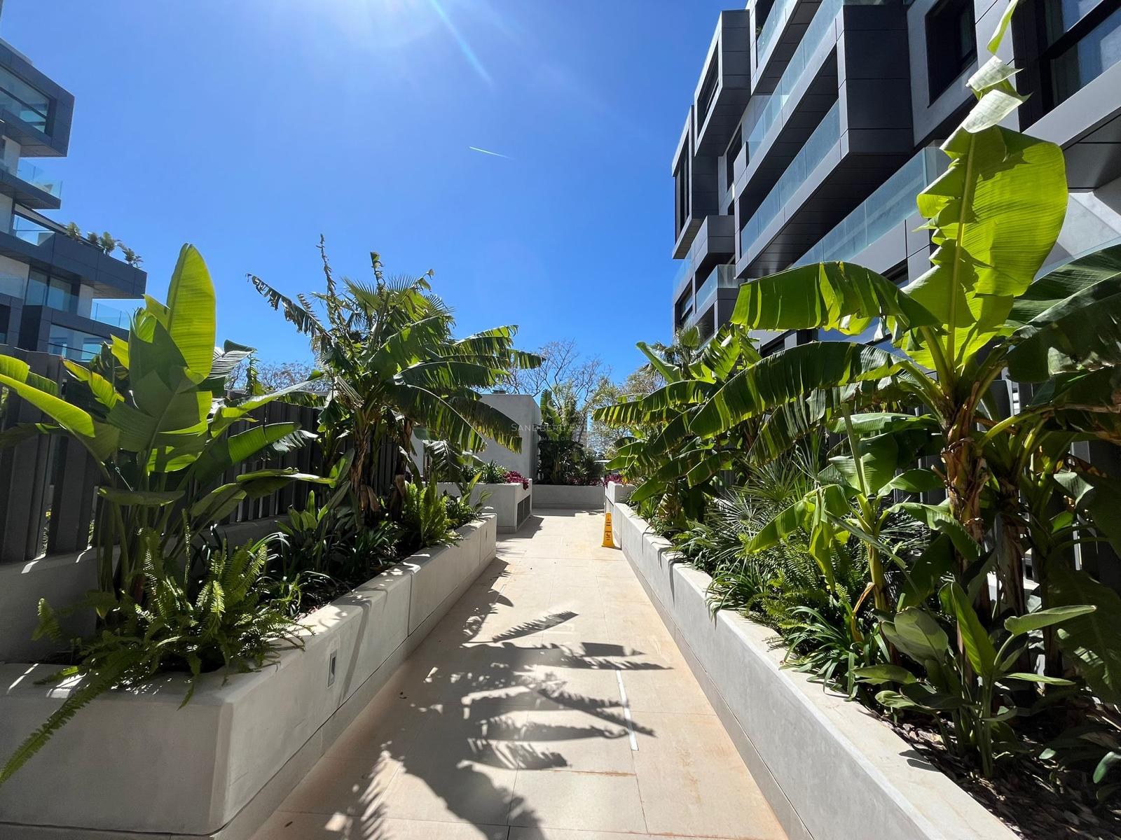 A modern outdoor walkway between apartment buildings lined with concrete planters containing lush tropical banana plants.