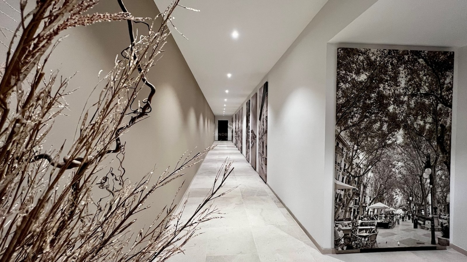 Vista exterior de una villa moderna con piscina. Diseño minimalista, amplias ventanas, jardín cuidado. Iluminación ambiental.