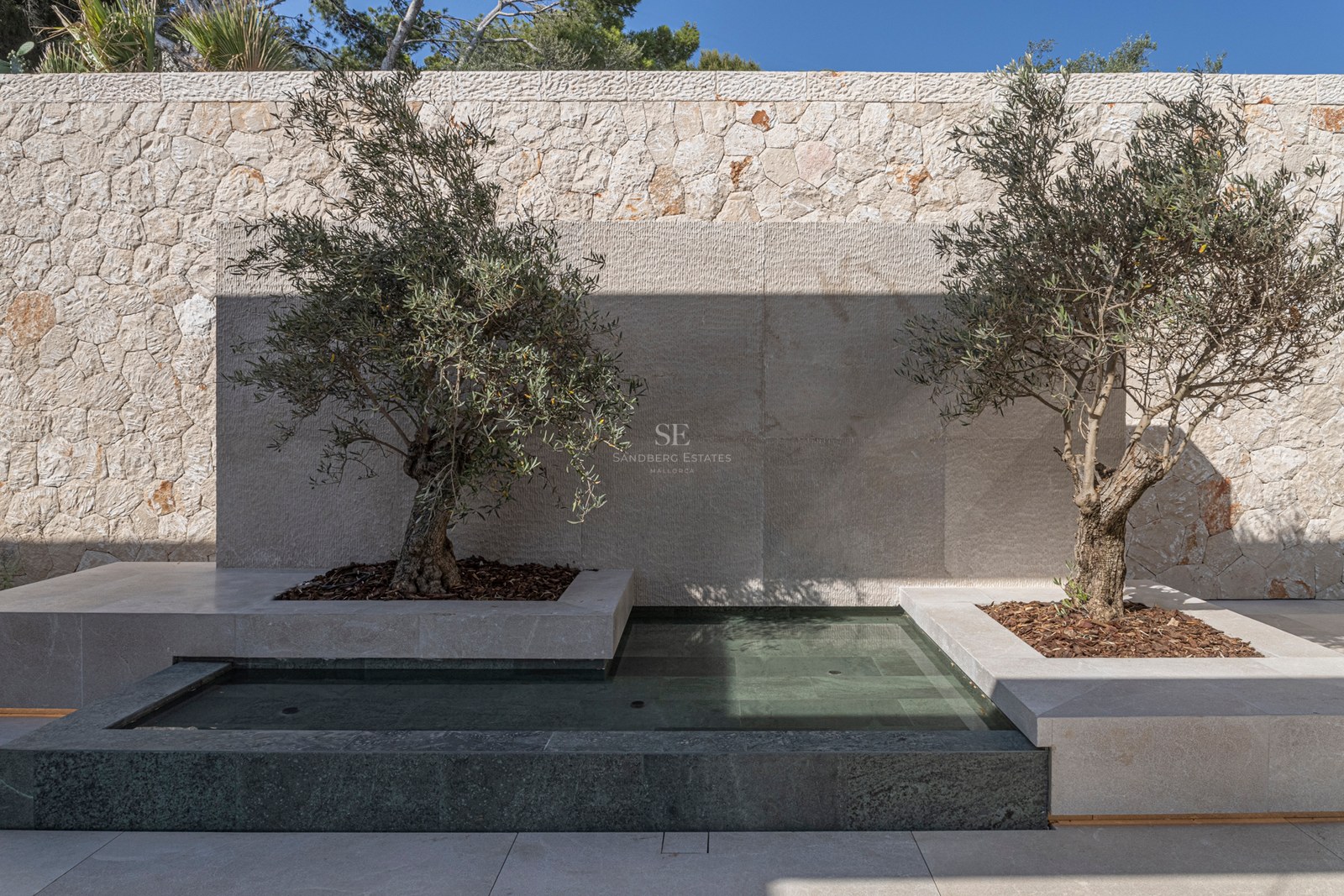 Deux oliviers dans des jardinières en pierre calcaire à côté d'un bassin d'eau moderne en pierre sombre.