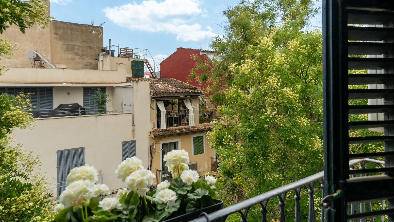 Vista desde un balcón con barandilla de hierro y flores blancas hacia edificios mediterráneos y árboles frondosos.