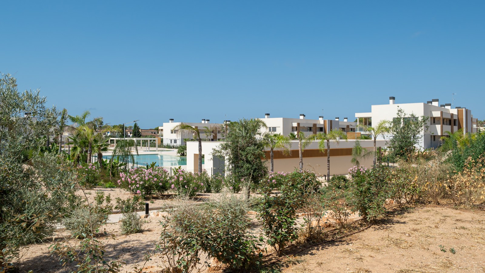 Contemporary white apartment buildings with a large swimming pool surrounded by palm trees and Mediterranean gardens.