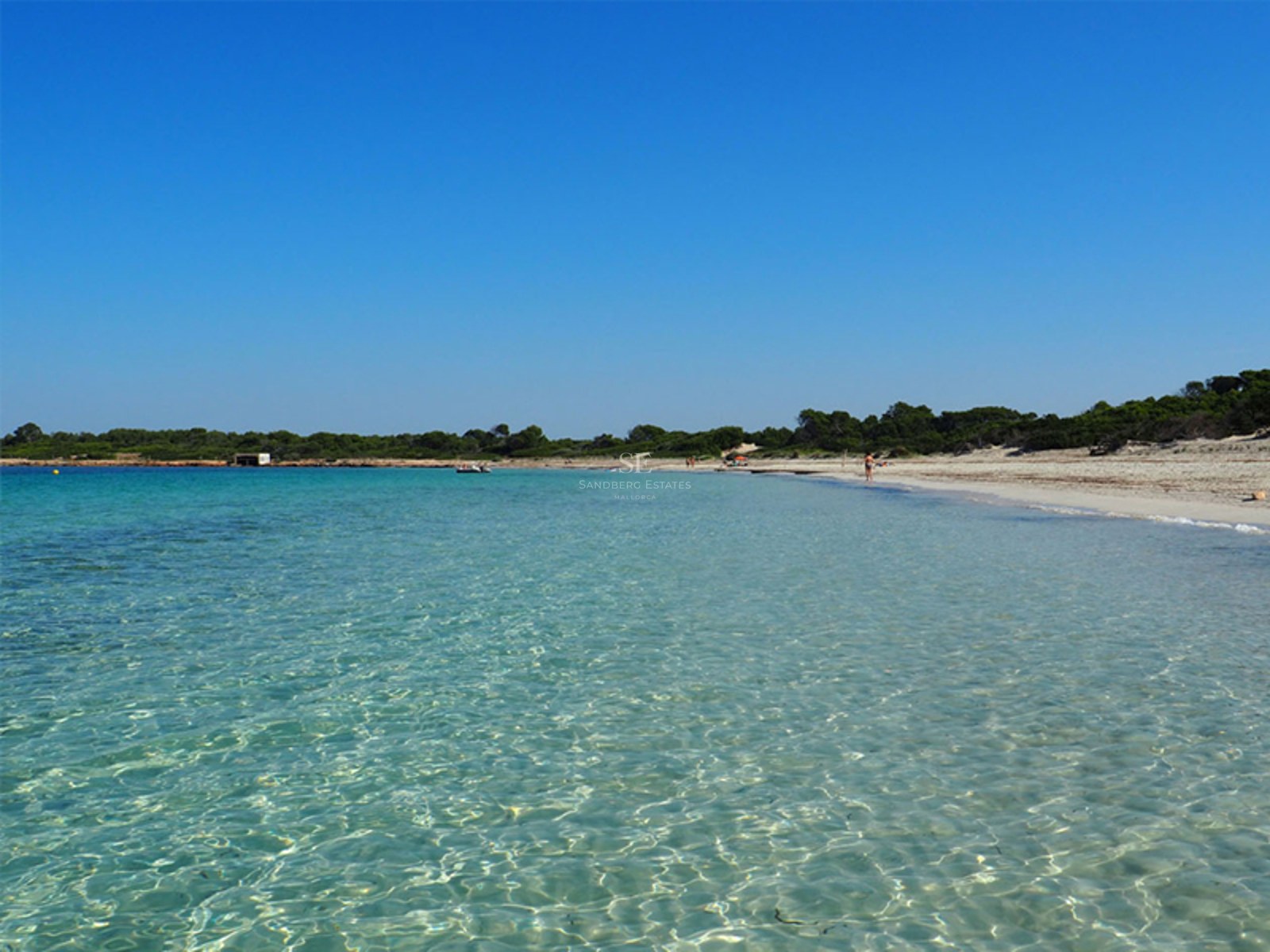 Crystal clear turquoise sea water ripples towards a white sandy beach with green coastal trees under a clear blue sky.