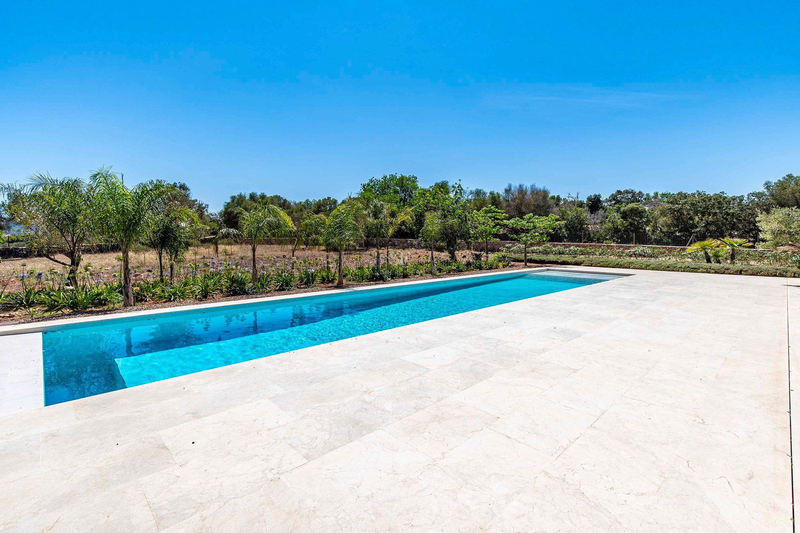 Piscina rectangular rodeada de baldosas de piedra marfil y palmeras bajo un cielo azul despejado.