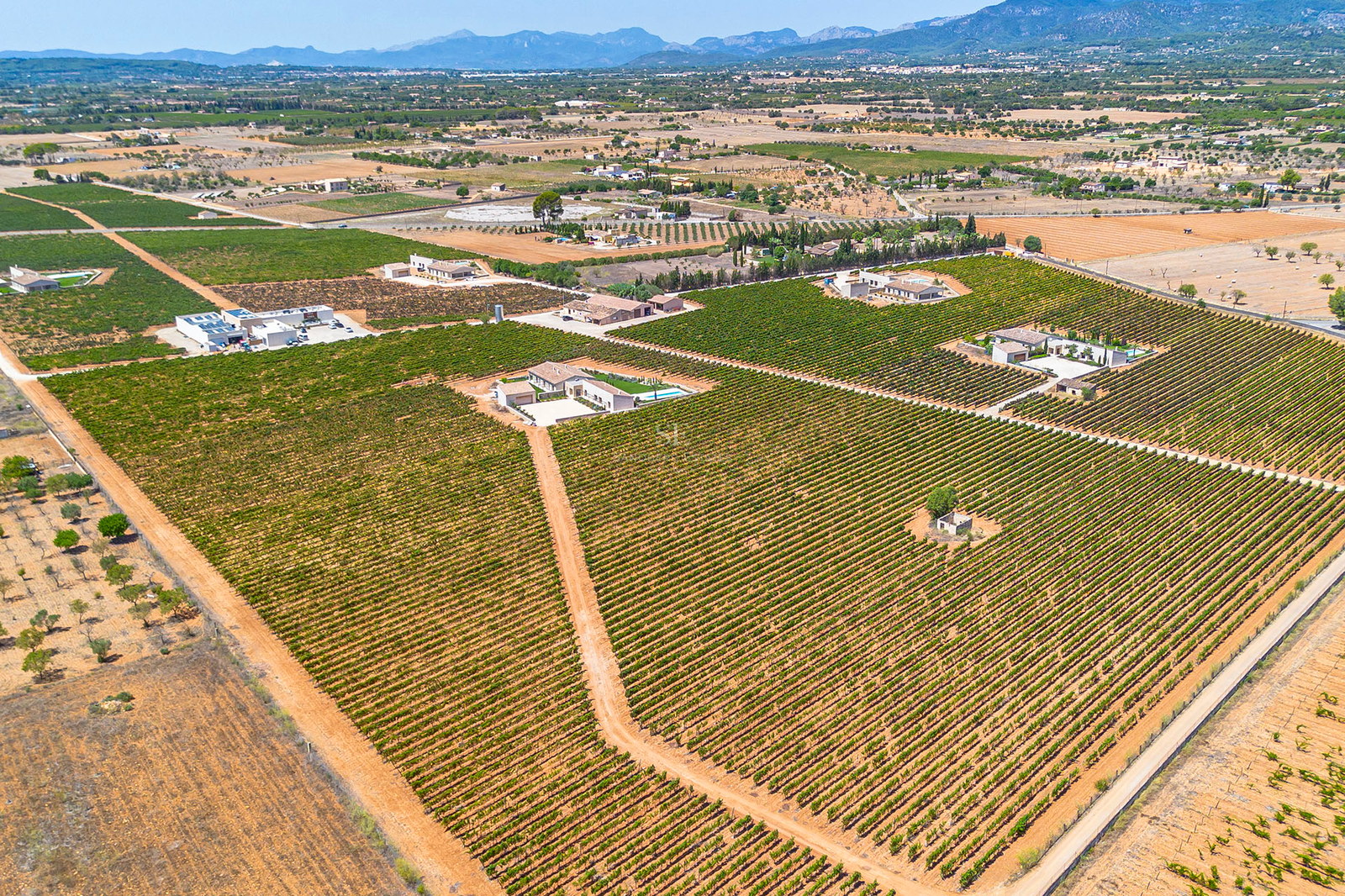 Vue aérienne d'une grande villa méditerranéenne entourée de rangées géométriques de vignes vertes et de montagnes.