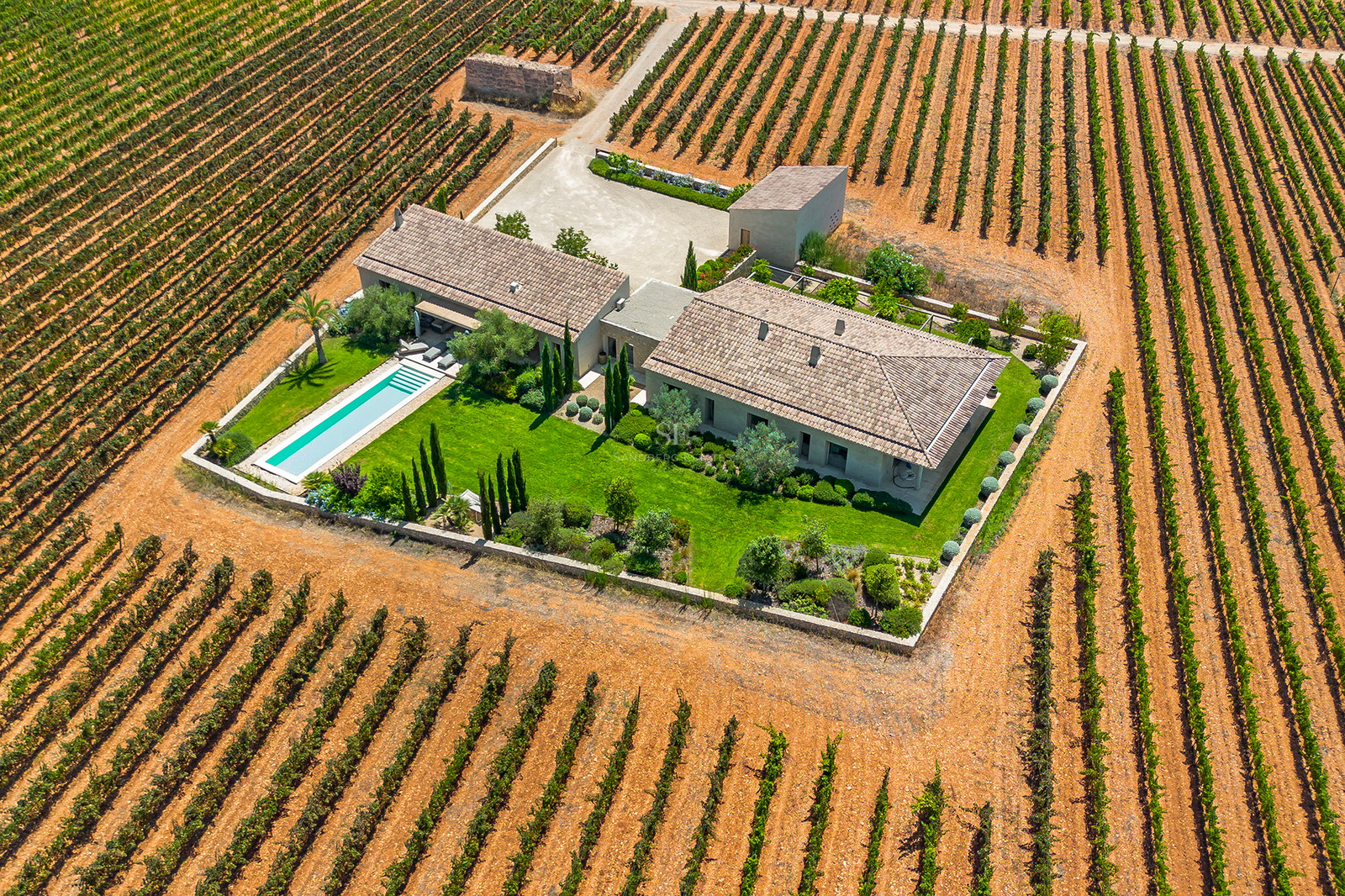 Vue aérienne d'une villa méditerranéenne moderne avec piscine, entourée de vastes rangées de vignes symétriques.