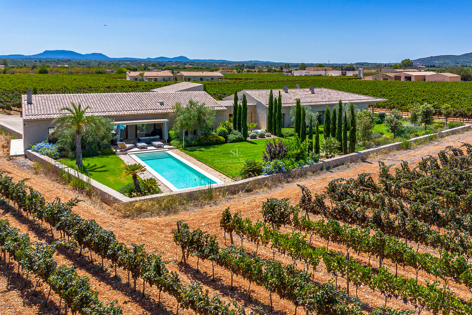 Vue aérienne d'une villa de luxe avec piscine et pelouse, entourée de rangées de vignes vertes.