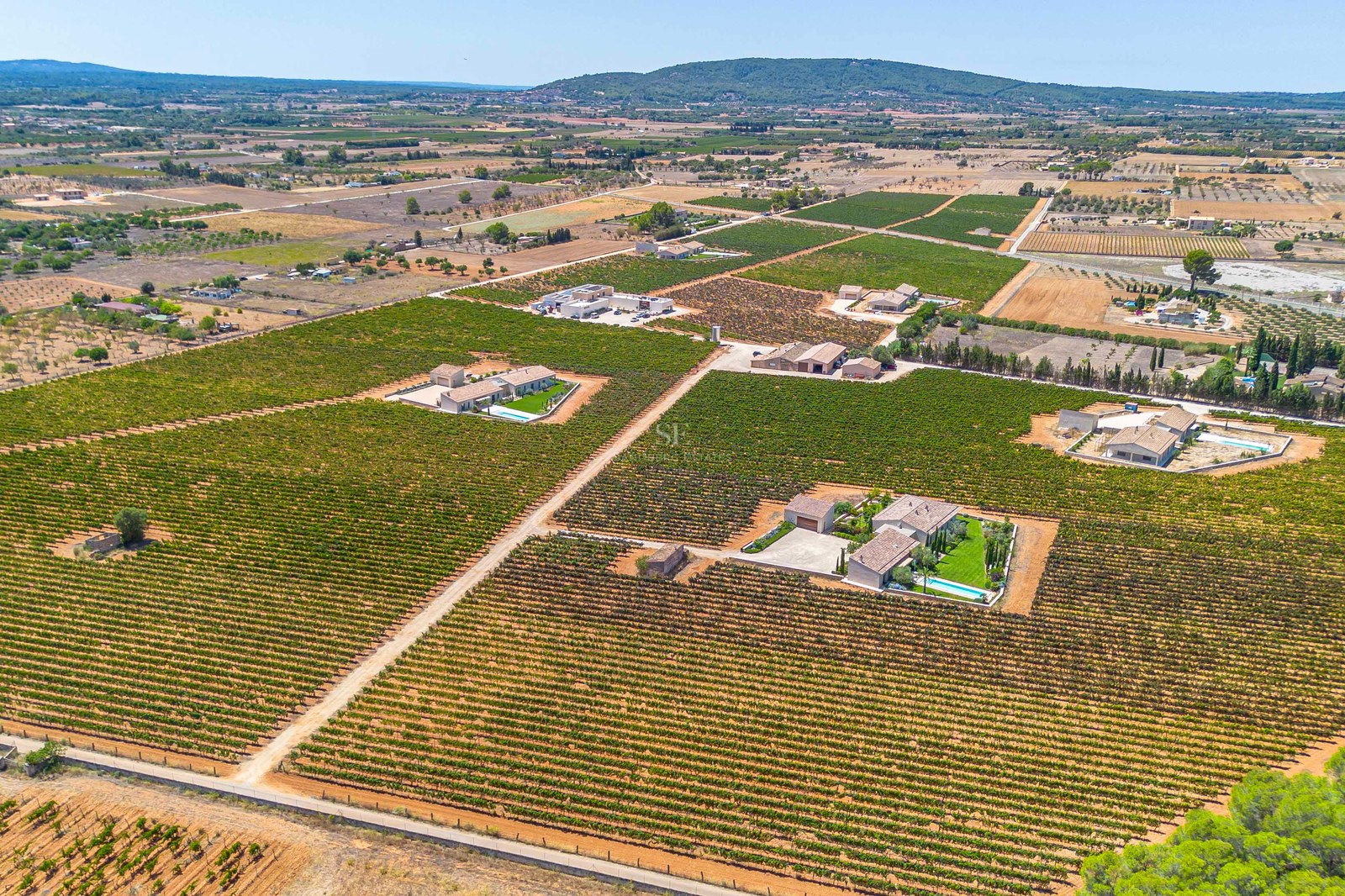 Vue aérienne d'une villa de luxe entourée de vastes rangées de vignes sous un ciel bleu clair à Majorque.