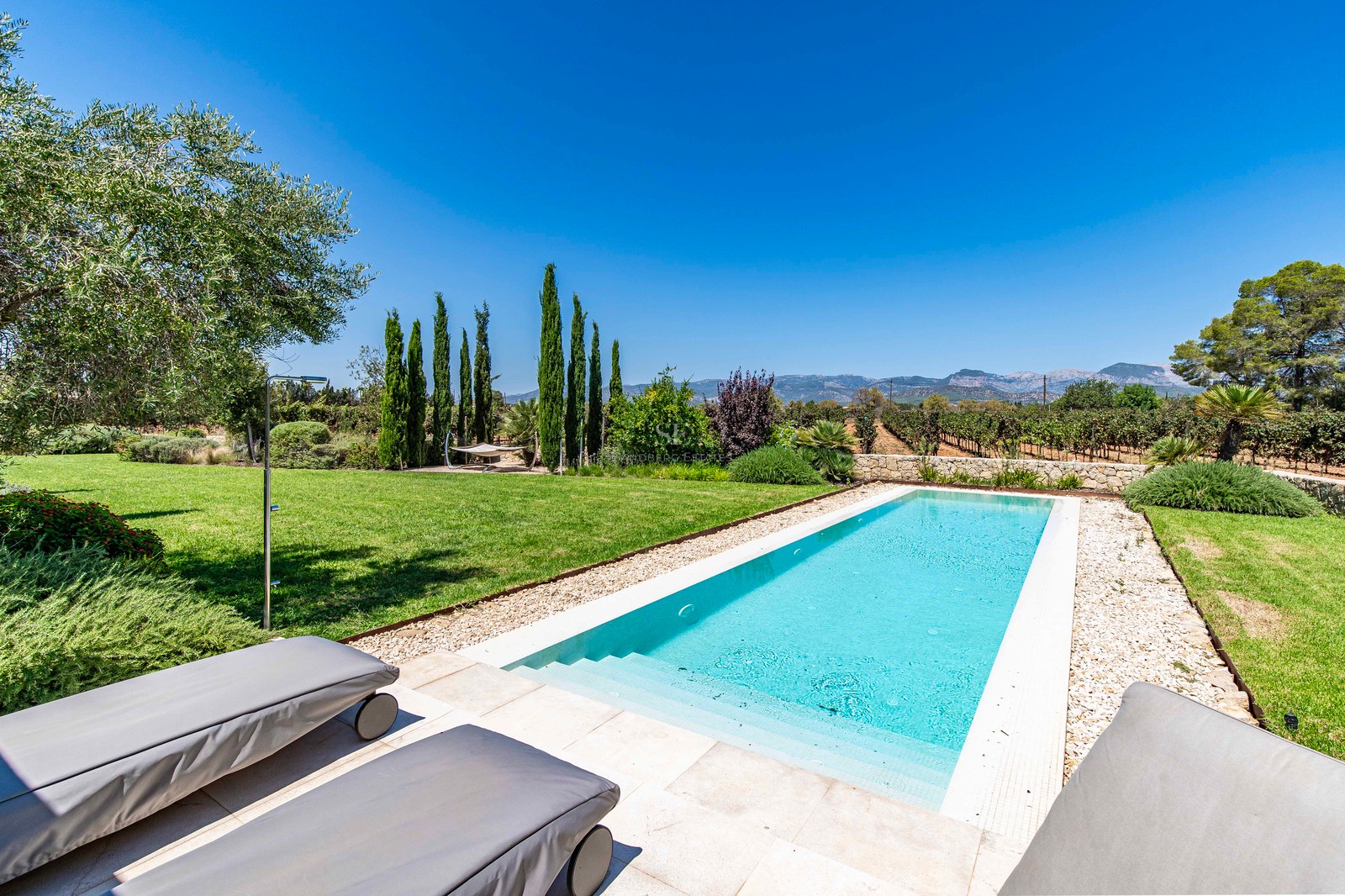 Piscine rectangulaire turquoise entourée d'une terrasse en pierre et d'un jardin avec vue sur les vignobles.
