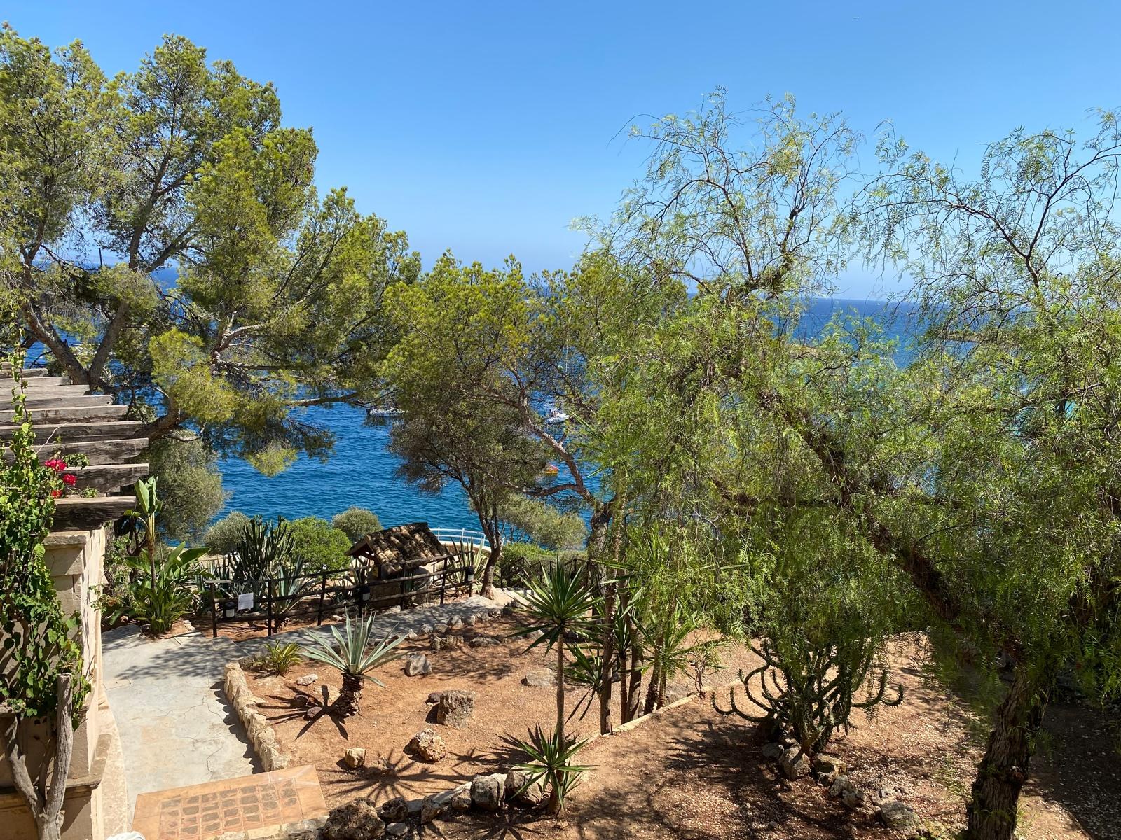 Jardín costero con pinos y plantas suculentas frente al mar Mediterráneo bajo un cielo despejado.