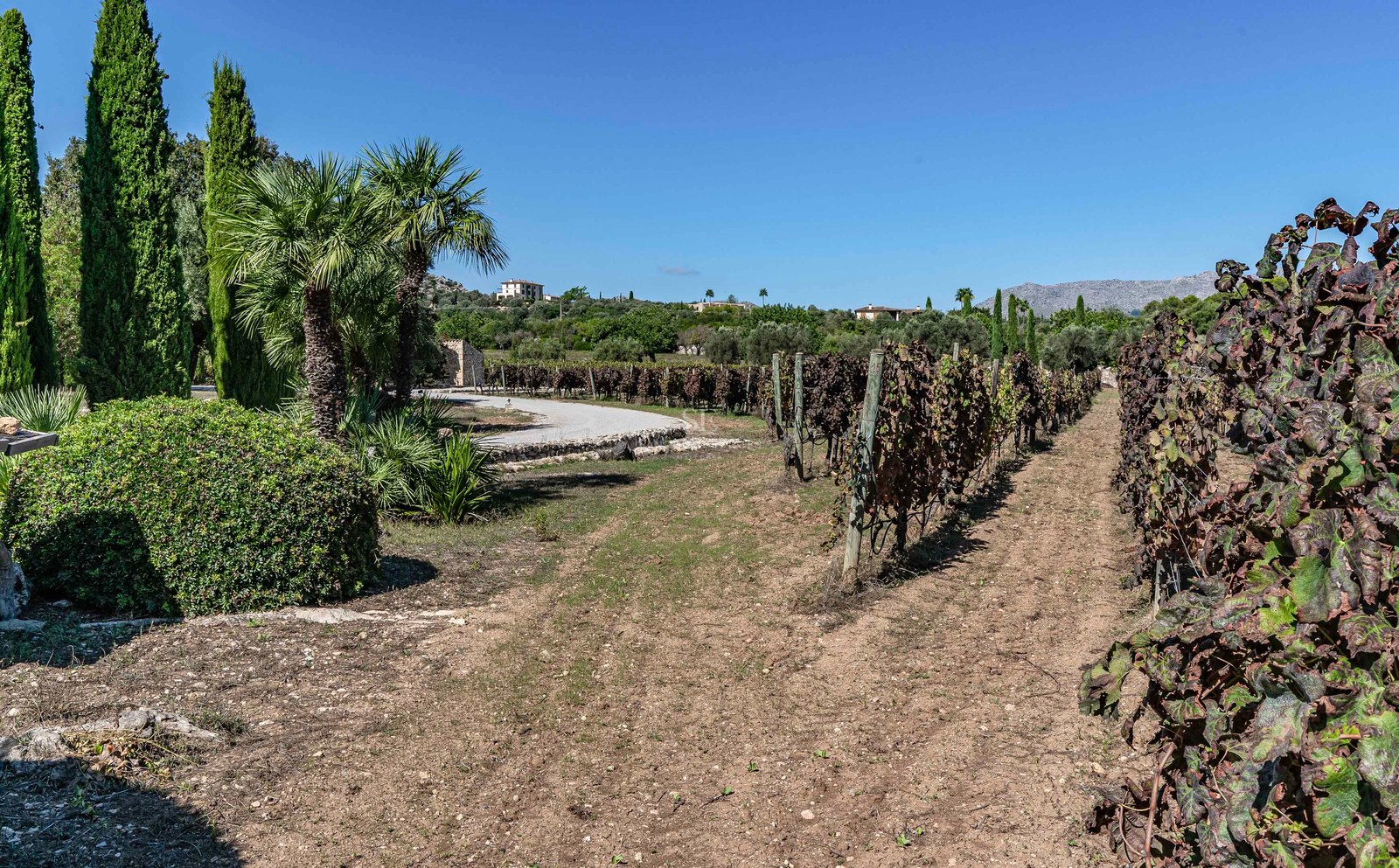 Property image 36