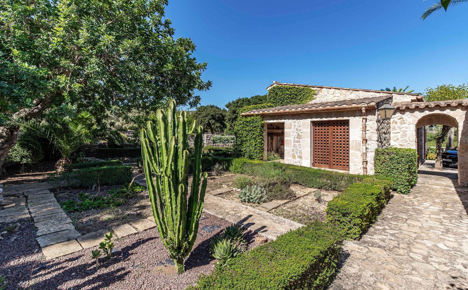Façade en pierre avec volets en bois et un grand cactus dans un jardin méditerranéen avec des allées en pierre.