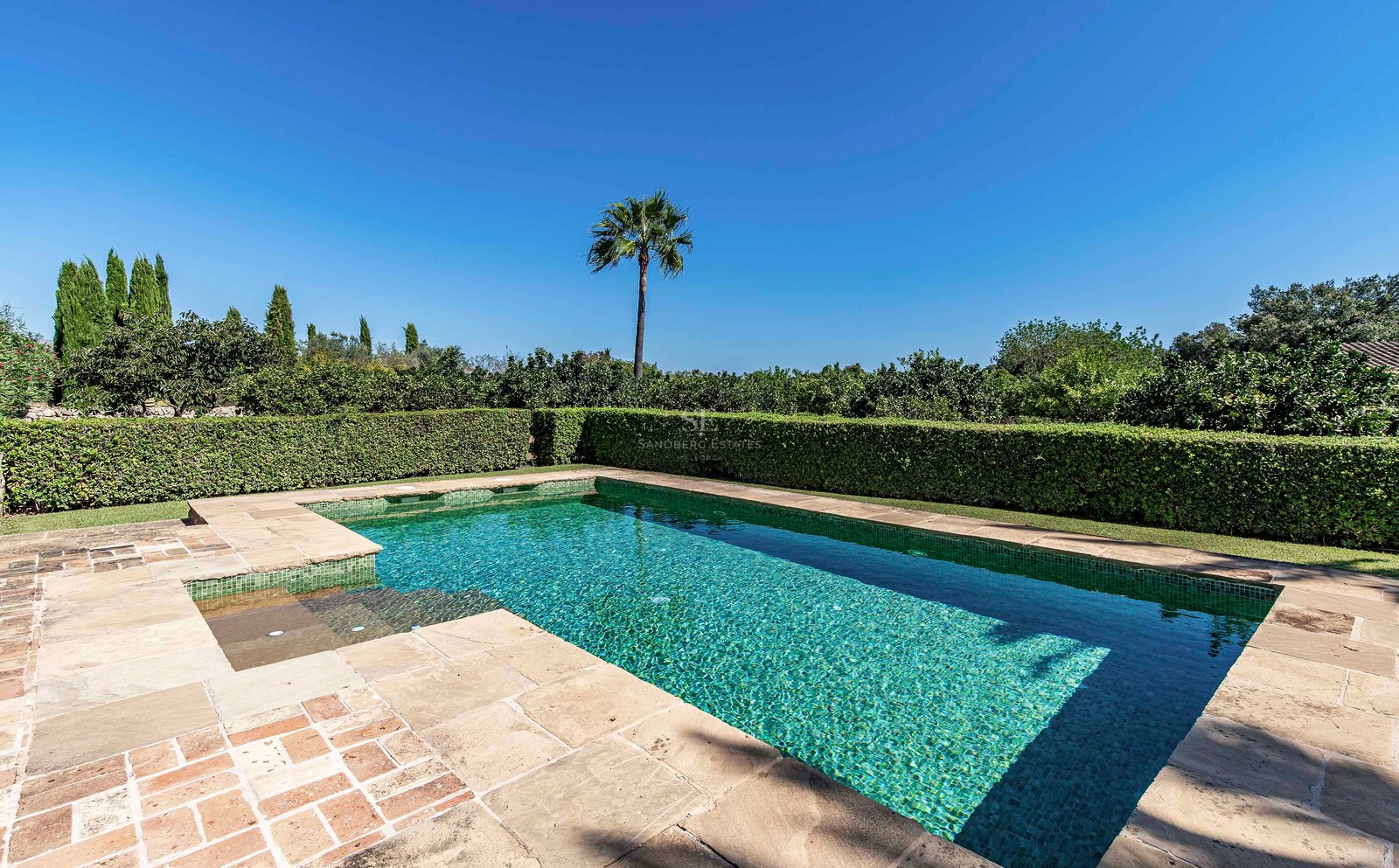 Piscine rectangulaire en mosaïque verte entourée d'une terrasse en pierre et de haies taillées sous un ciel bleu.