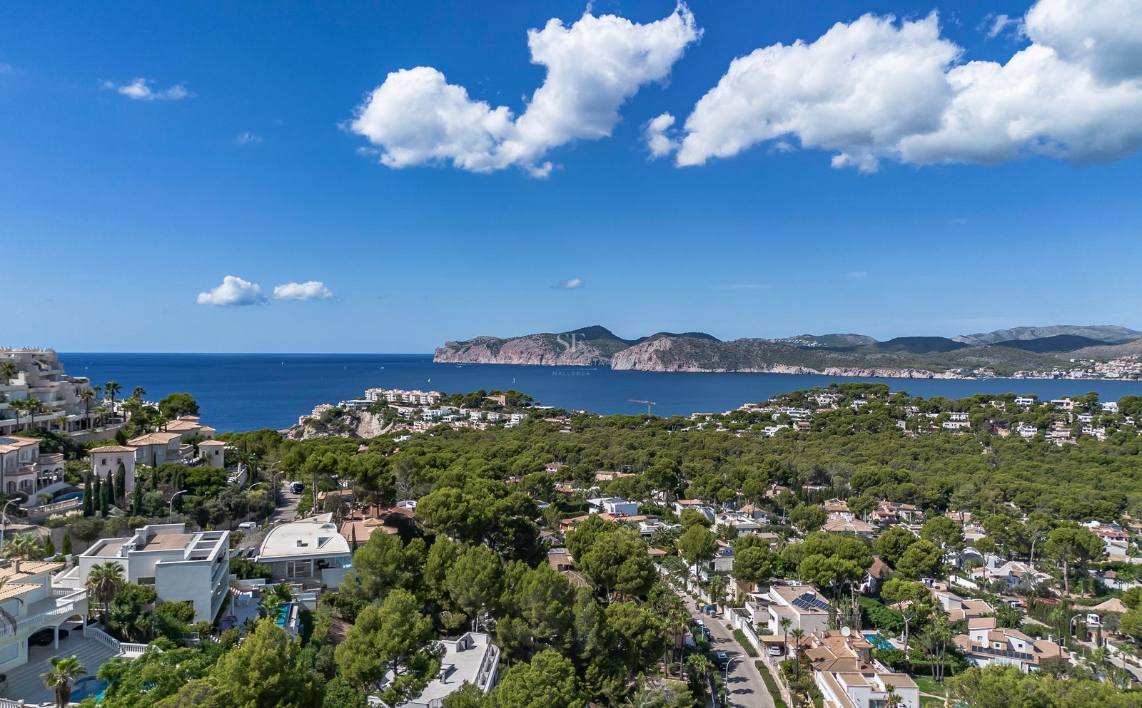 Vue aérienne de villas de luxe nichées dans une pinède surplombant la mer Méditerranée et les falaises.