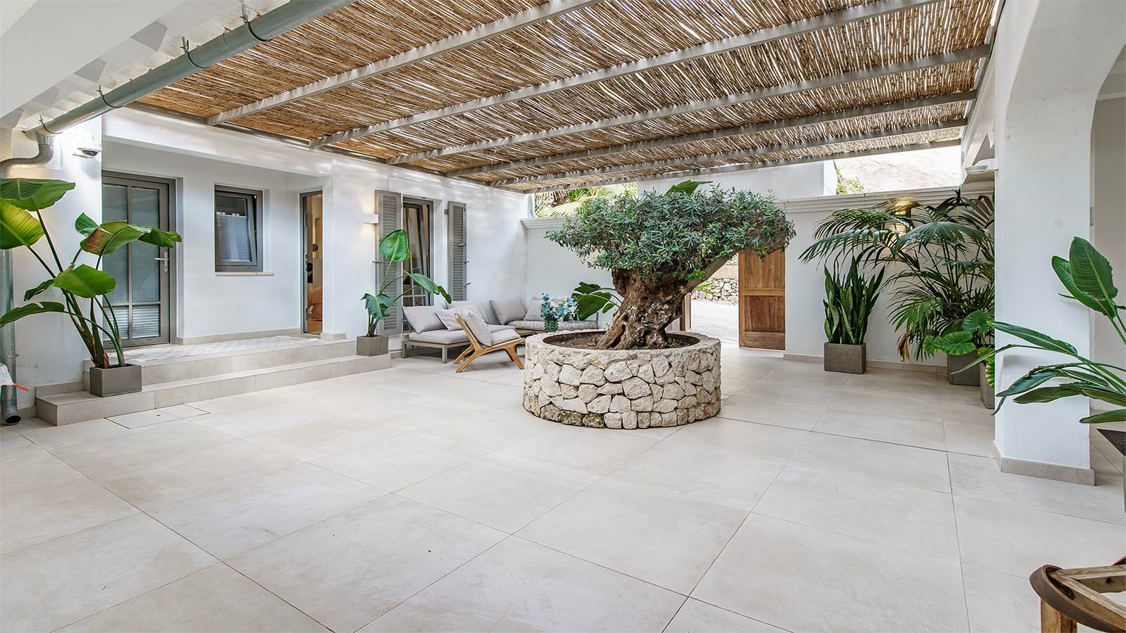 Terraza soleada con un olivo en macetero de piedra, pérgola de cañas y muebles de descanso elegantes.