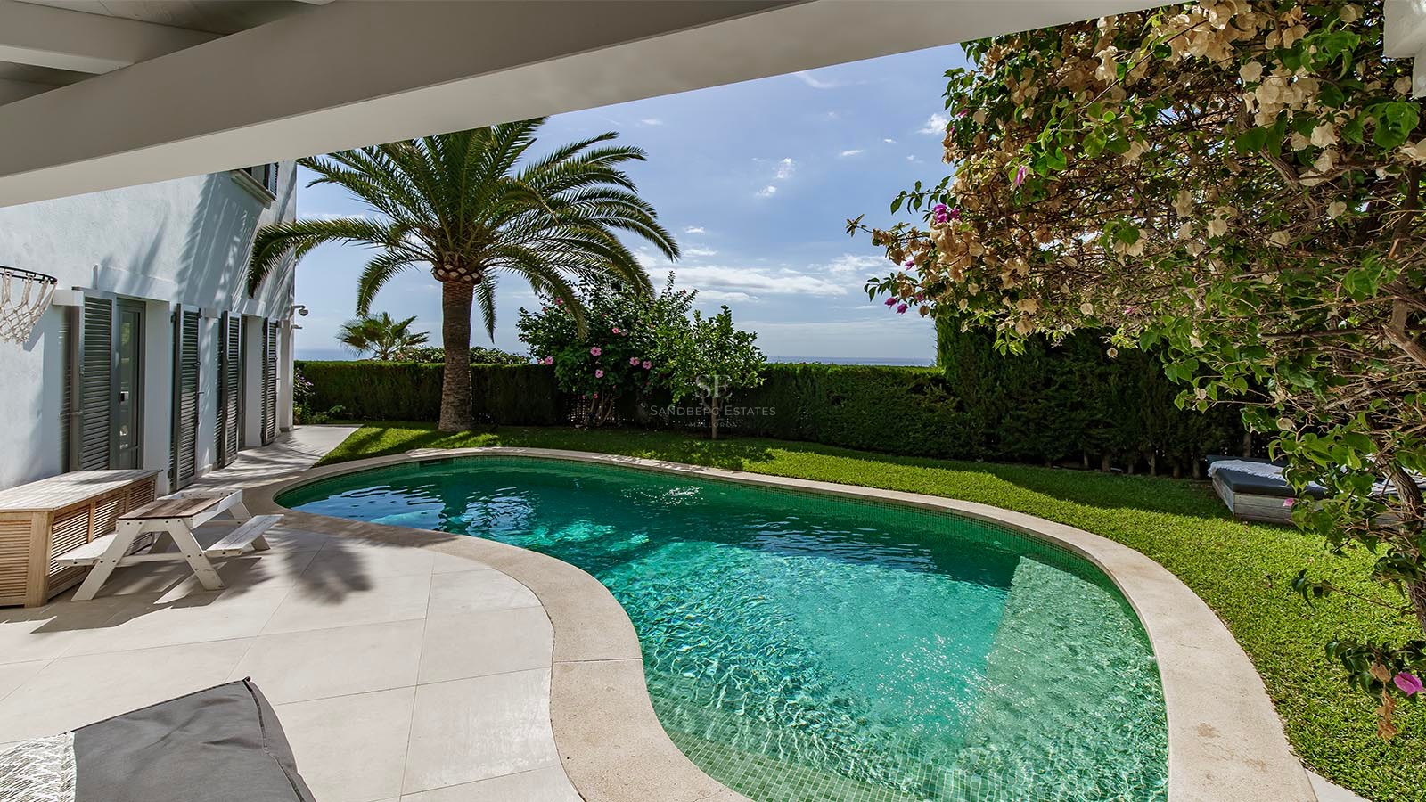 Piscina de forma irregular rodeada de césped verde, una palmera y vistas al mar bajo un cielo despejado.