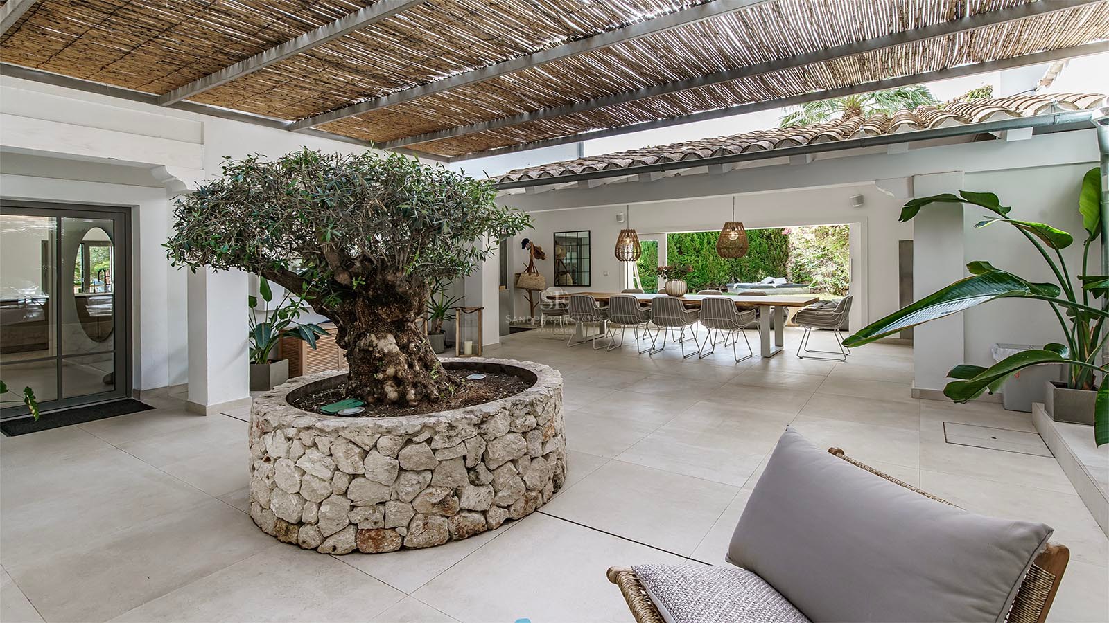 Terraza cubierta con un gran olivo en macetero de piedra y comedor de diseño con vistas al jardín.