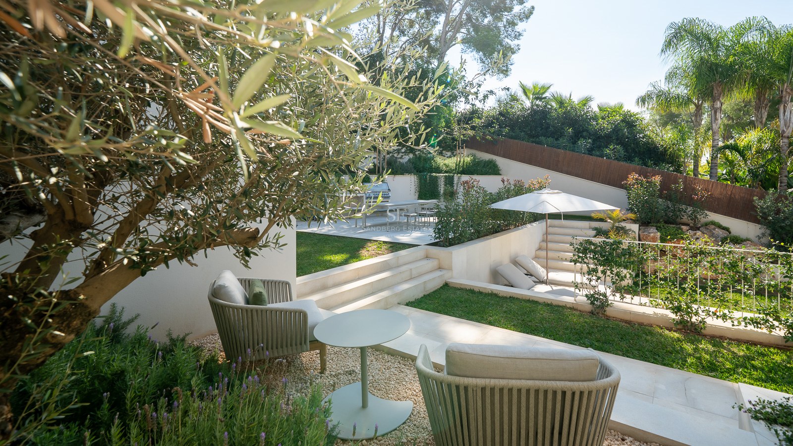 Jardin à plusieurs niveaux avec olivier, mobilier de designer, espace barbecue et pelouse sous le soleil.