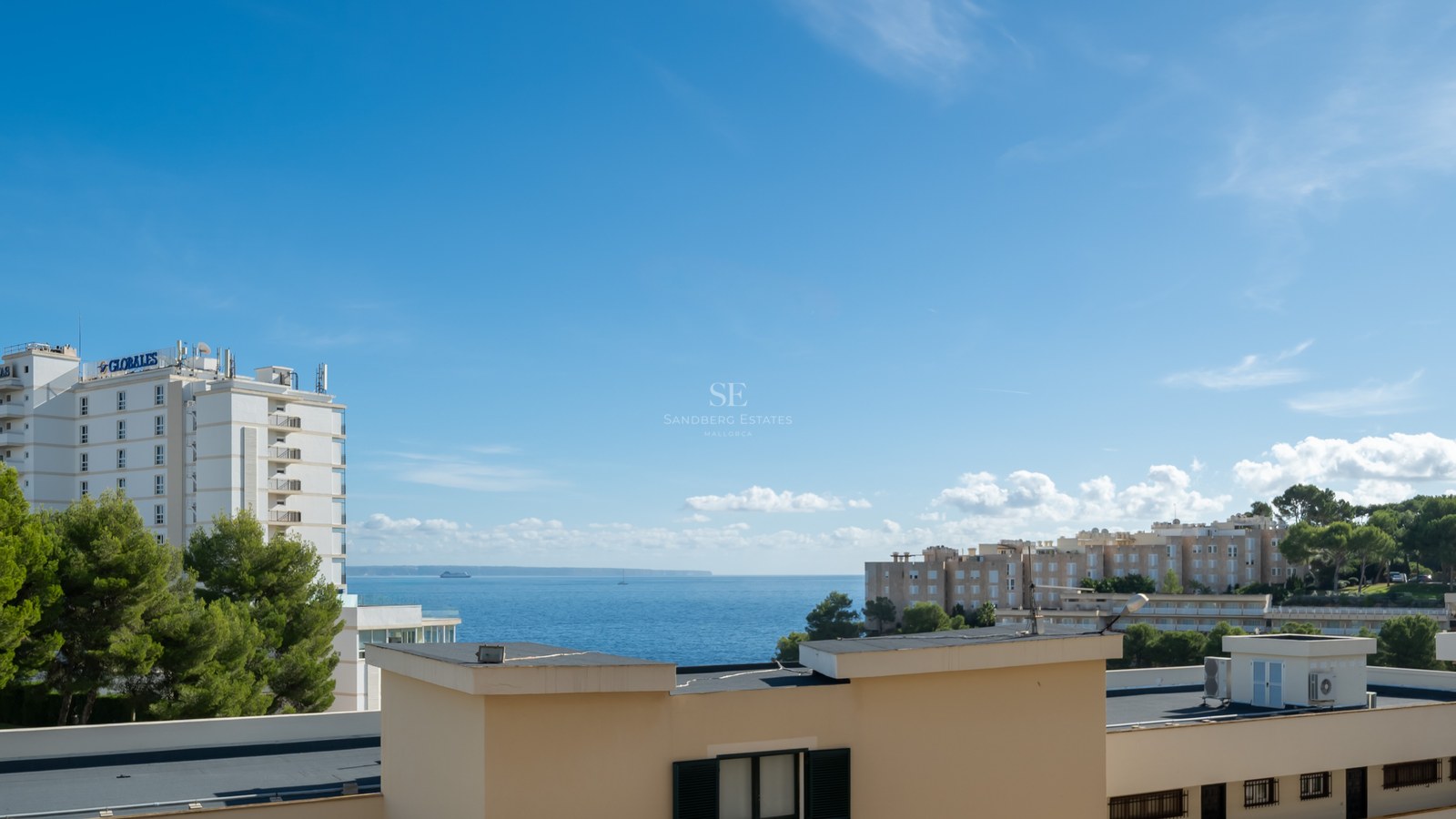 Panoramic view of the blue sea with white coastal buildings and green pine trees under a clear sky.