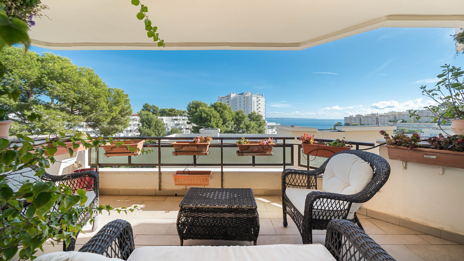 Covered terrace featuring wicker armchairs, plants, and a sea view under a clear blue sky.